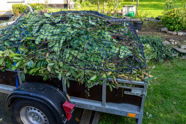 Professional Junk Removal Services in Wood River, IL